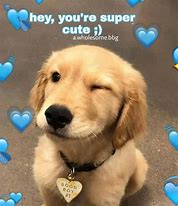 Image result for Cute Puppy Love Memes