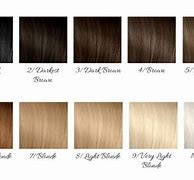 Image result for Number 2 Hair Color