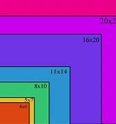 Image result for +Ipone 11 Size Comparison Chart