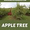 Image result for Semi-Dwarf Apple Tree Spacing