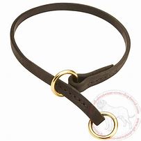 Image result for Cane Corso Dog Choke Collar