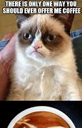 Image result for Cat Coffee Meme