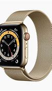Image result for Privacy Screen for Apple Watch