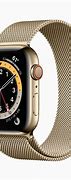 Image result for Gucci Apple Watch