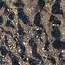Image result for Dirt Ground