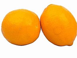 Image result for Citron Orange