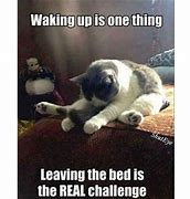 Image result for Wake Up Call Meme