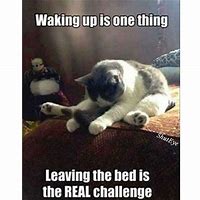 Image result for Funny Wake Up Picture Meme