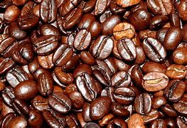Image result for Coquillage Grain De Cafe