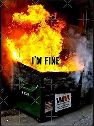 Image result for I'm Fine On Fire Meme