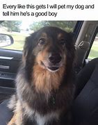 Image result for Funny Dog Memes Wallpaper