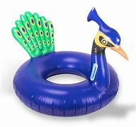 Image result for Blue Pool Floaties