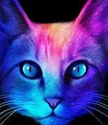 Image result for Purple Galaxy Cat