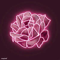 Image result for Pink Neon Art