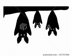 Image result for Bat Hanging Upside Down Silhouette