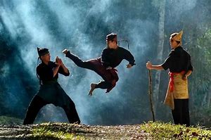 Image result for Silat Martial Arts Stances