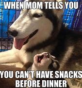 Image result for Baby Husky Meme
