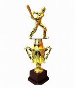Image result for Cricket Trophy Cups