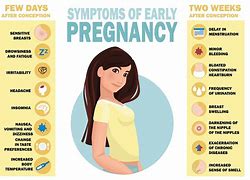 Image result for Common Early Pregnancy Symptoms