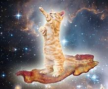 Image result for Cosmic Kitten