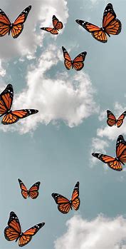Image result for Cute Butterfly Wallpapers Aesthetic