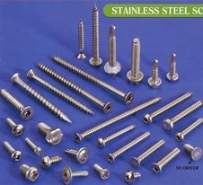 Image result for Stainless Steel Screws White Head