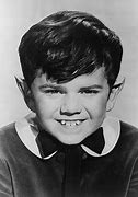 Image result for Butch Patrick Autographed Photo