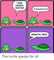 Image result for Answer Me Turtle Meme