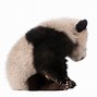 Image result for Panda Side View