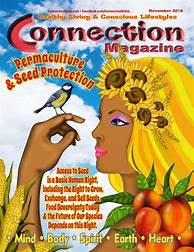 Image result for Connection Magazine Swingads