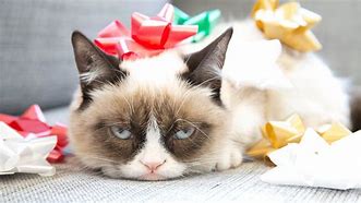 Image result for Merry Christmas Grumpy Cat
