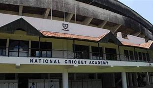 Image result for Cricket Academy High Performance