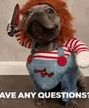 Image result for Any Question Funny Pictures