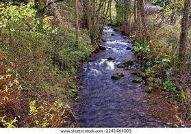 Image result for Honddu River