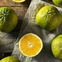 Image result for Citrus Fruit Print Screen
