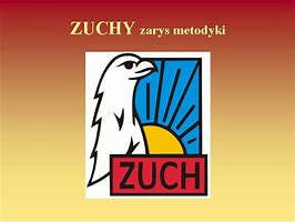 Image result for co_to_za_zuchy