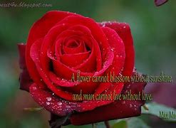 Image result for Infinite Love Quotes