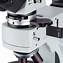 Image result for Optical Microscope