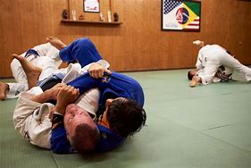 Image result for Brazilian Jiu Jitsu Gracie Family