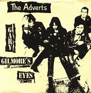 Image result for The Adverts Album Cover