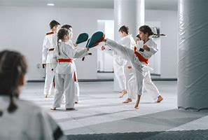 Image result for Types of Martial Arts School