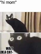 Image result for Wait I'm Cat Meme