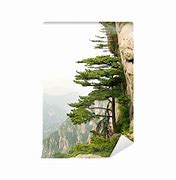 Image result for Tei Shan Mountain