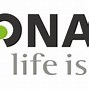 Image result for phonak hearing aids batteries