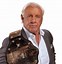 Image result for Ric Flair Photo Gallery