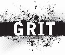 GRIT 的图像结果