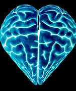 Image result for Brain with Heart