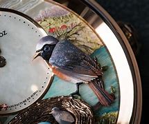 Image result for Bird Watch Series 7