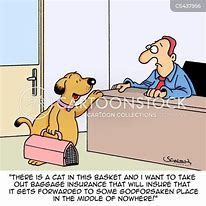 Image result for Funny Insurance Sales Cartoons