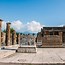 Image result for Pompeii Casts
